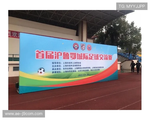 围绕全国各省市足球竞技水平排名的综合深度解析视角趋势研究报告